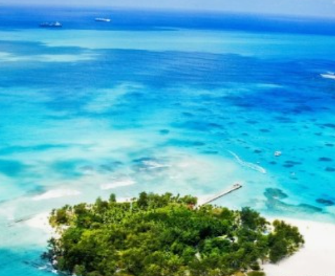 해외여행자-보험