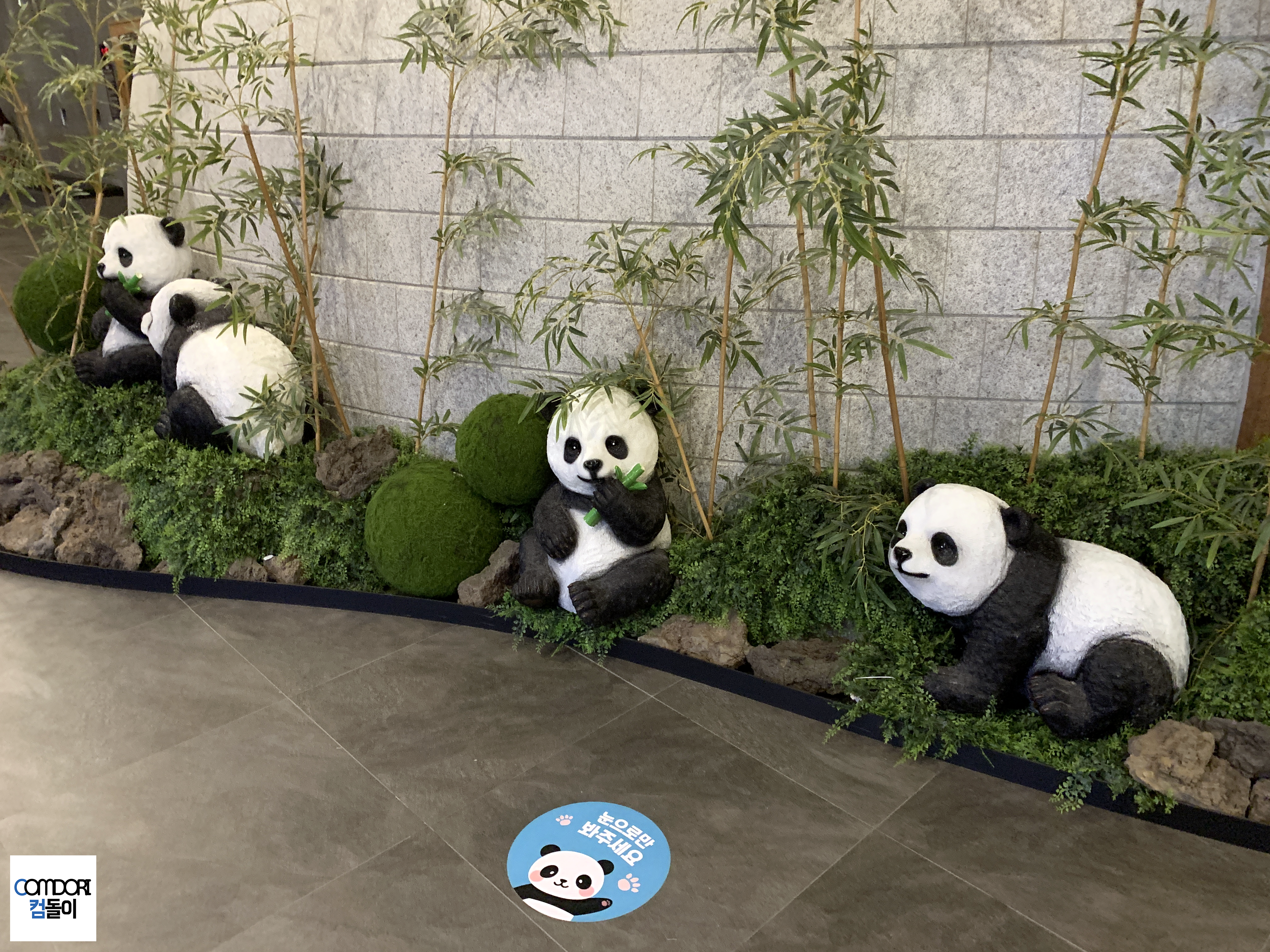 아쿠아필드 푸바오 팬더