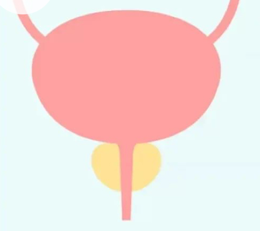 전립선비대증 최신 치료법과 음식효능과 관련된사진