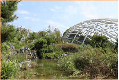 추석 숙박세일 페스타 할인쿠폰 발급 방법