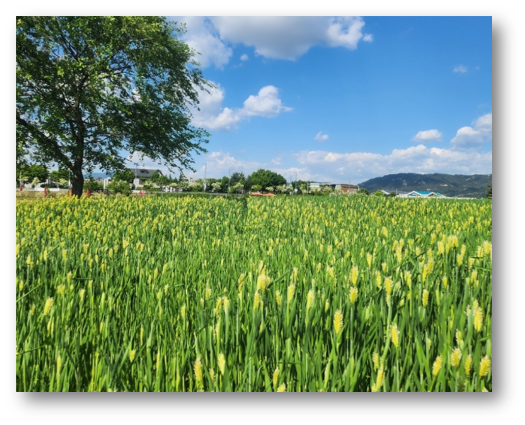 양주 나리공원9