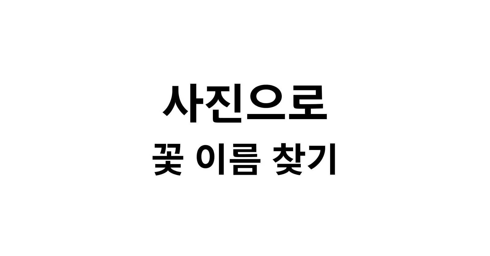 사진으로 꽃 이름 찾기