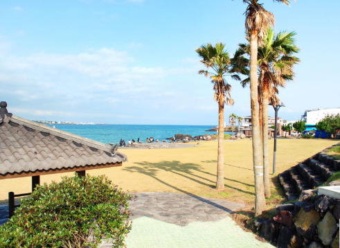 보롬왓 대파축제 2025