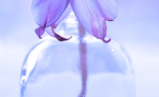 겨울철 타이어 적정 공기압