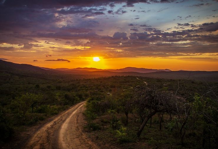 운동과 정신 건강의 상관관계