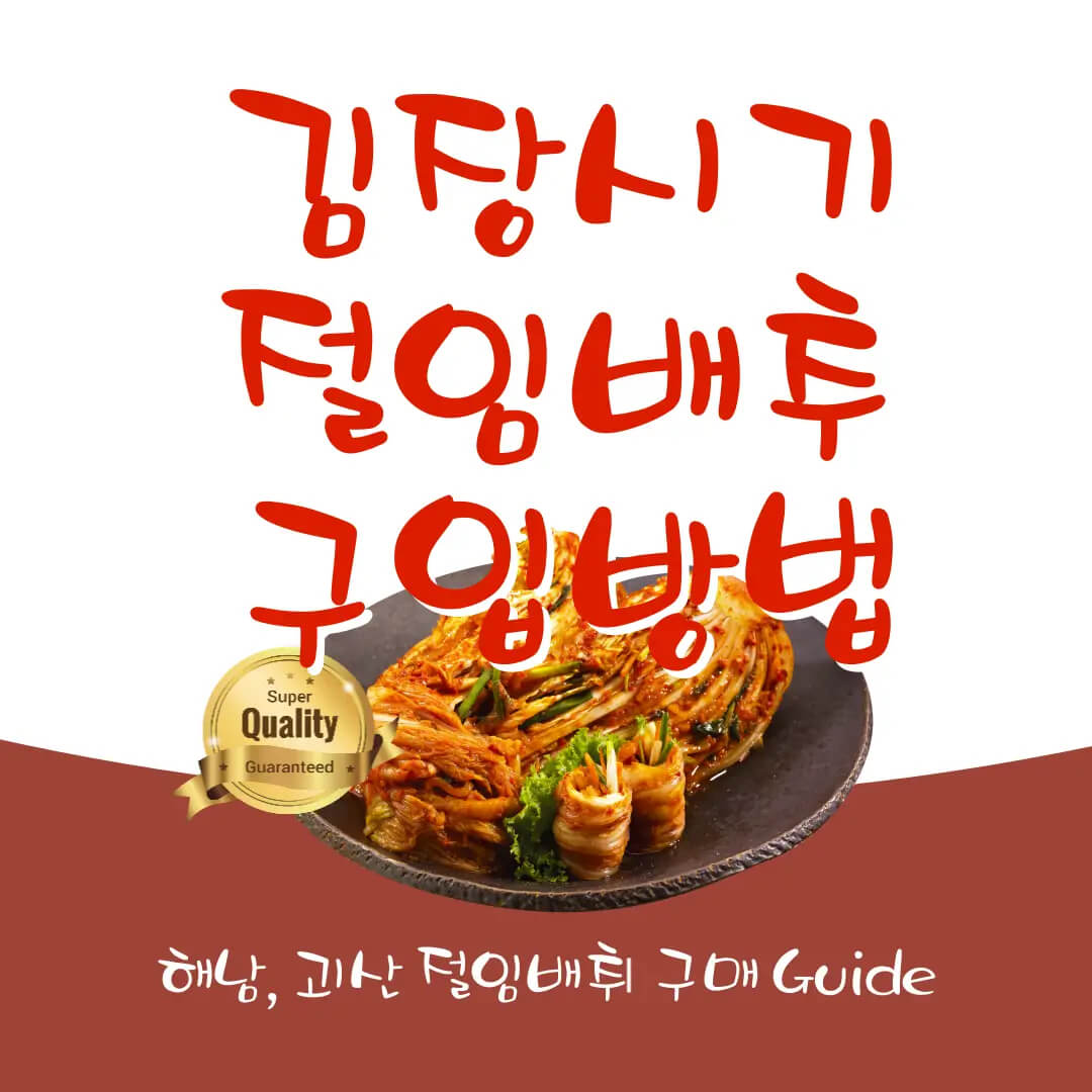 김장 시기와 절임배추 20kg 파는 곳