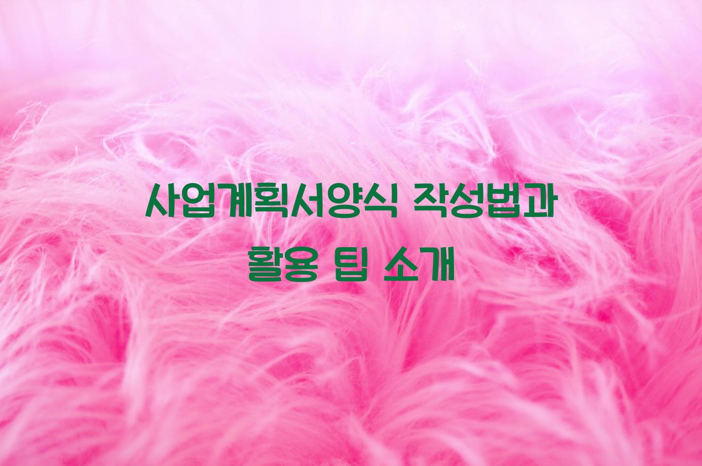 사업계획서양식