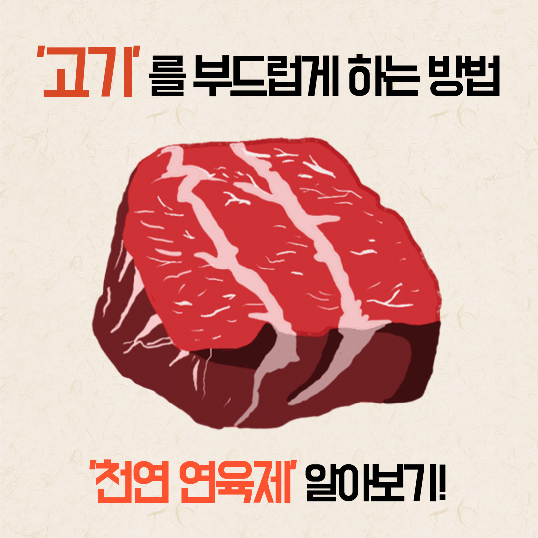천연연육제
