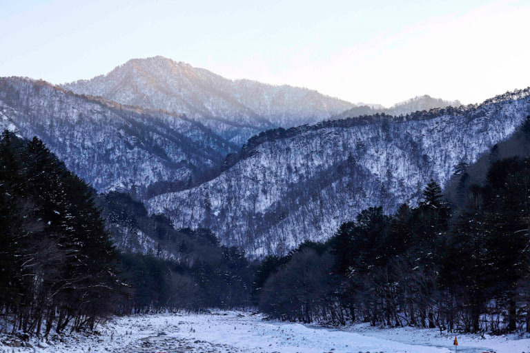 트레킹 명소 백담계곡 한라산 설경보다 예쁜데 3월 말까지 8km 전부 무료인