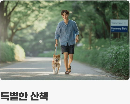 반려견과 함께하는 특별한 하루 만들기