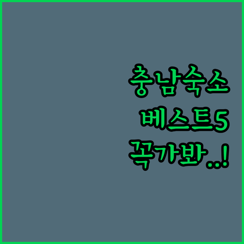 청양 알프스글램핑 논산 더시티 호텔 ..