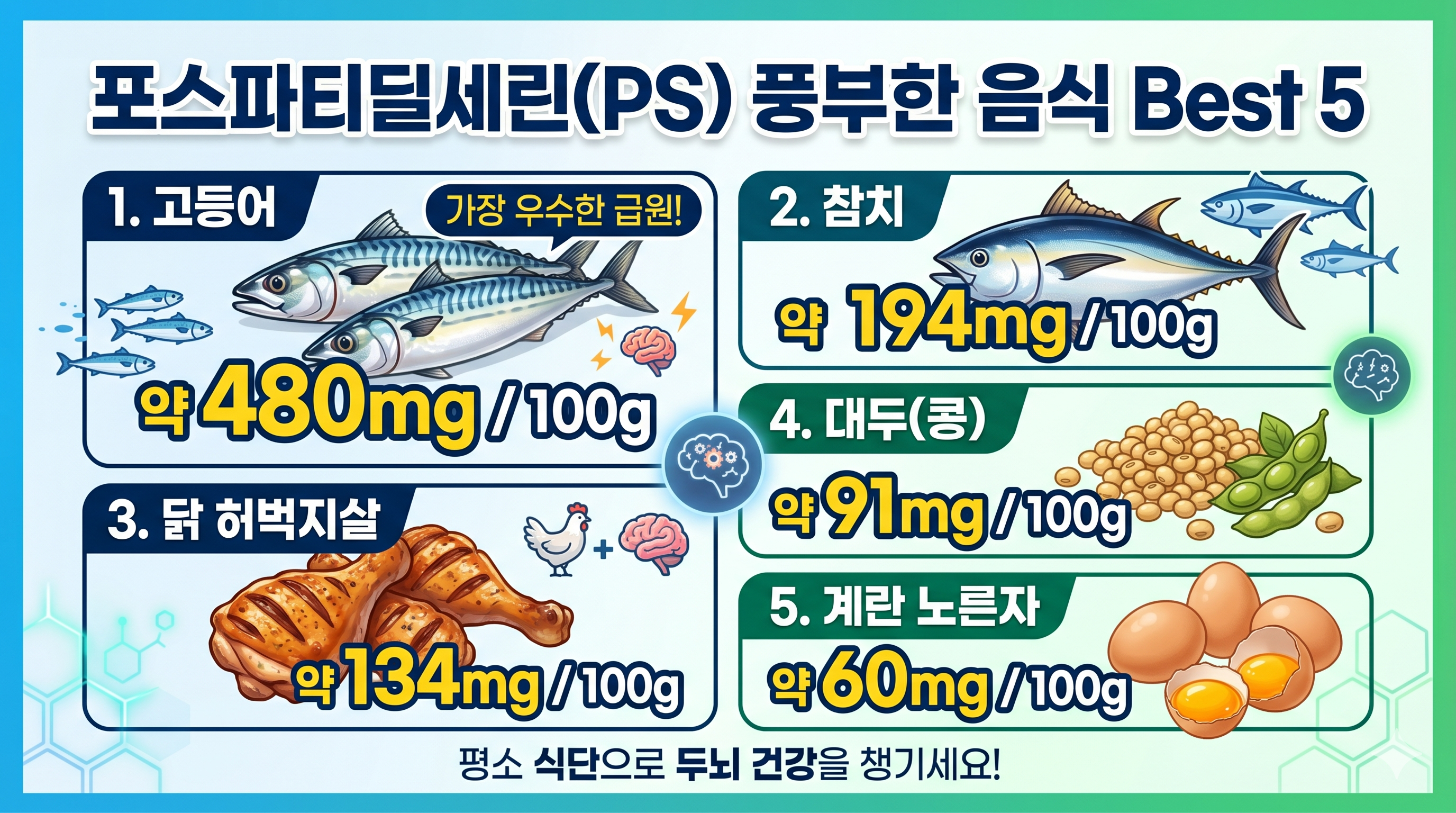 포스파티딜세린이 많이 함유되 있는 급원식품 5가지의 그림 이미지