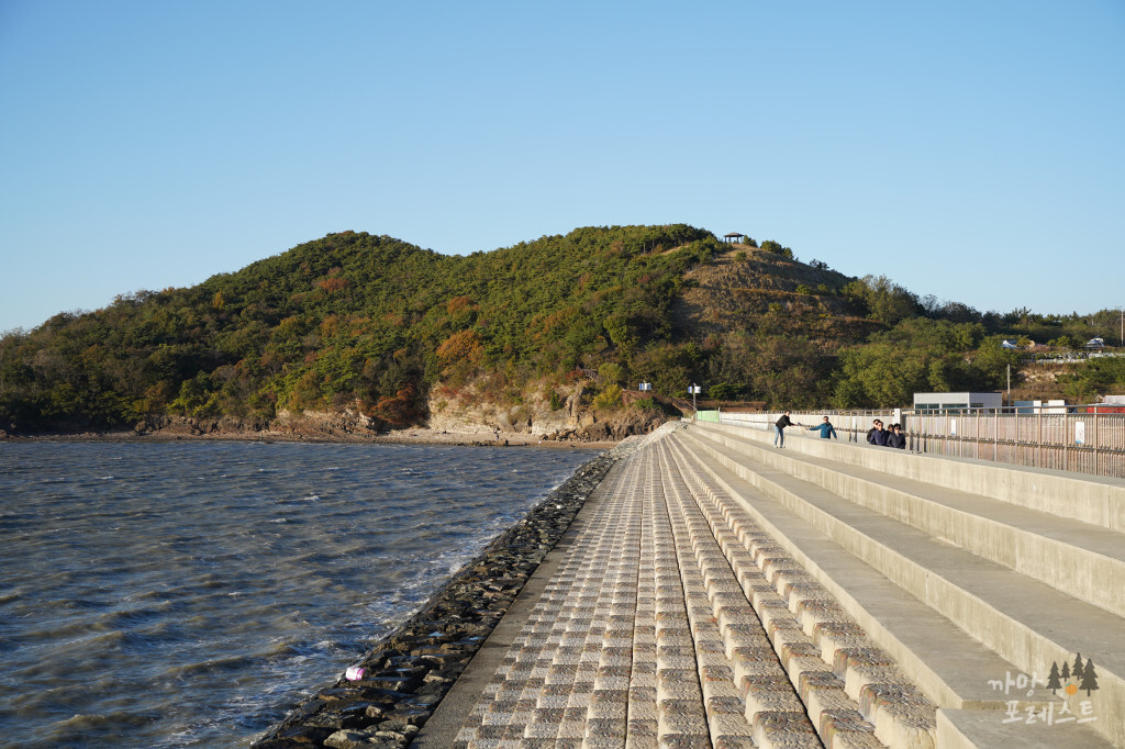 안산 탄도항 앉을 곳