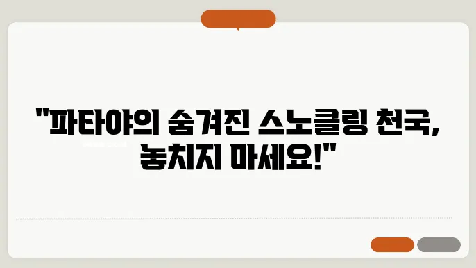 태국 파타야 스노쿨링 명소 BEST 5