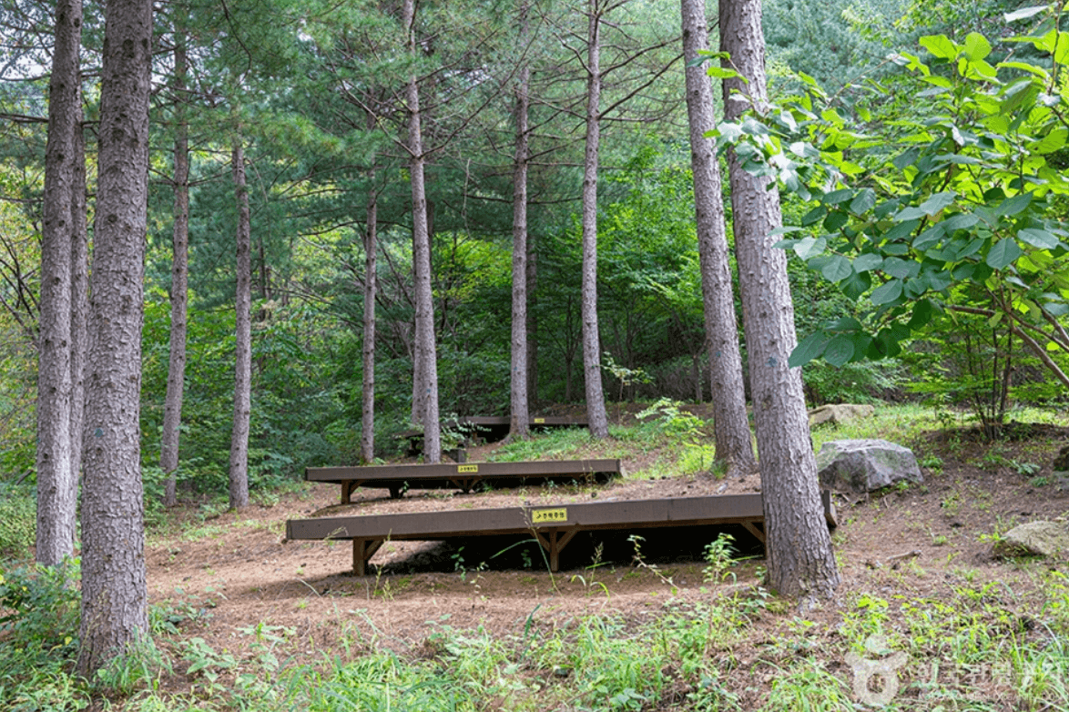 국립 운악산 자연휴양림