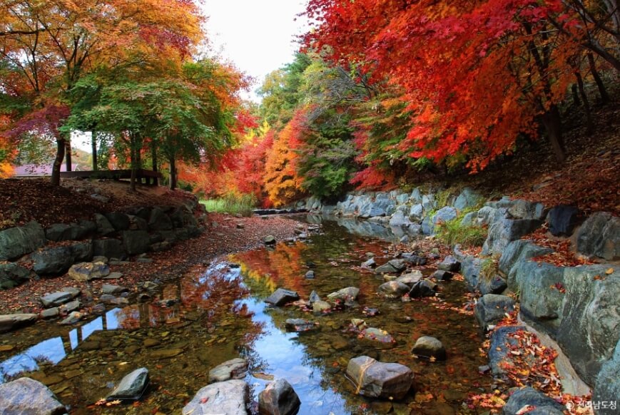 화순 가볼만한곳 베스트 10