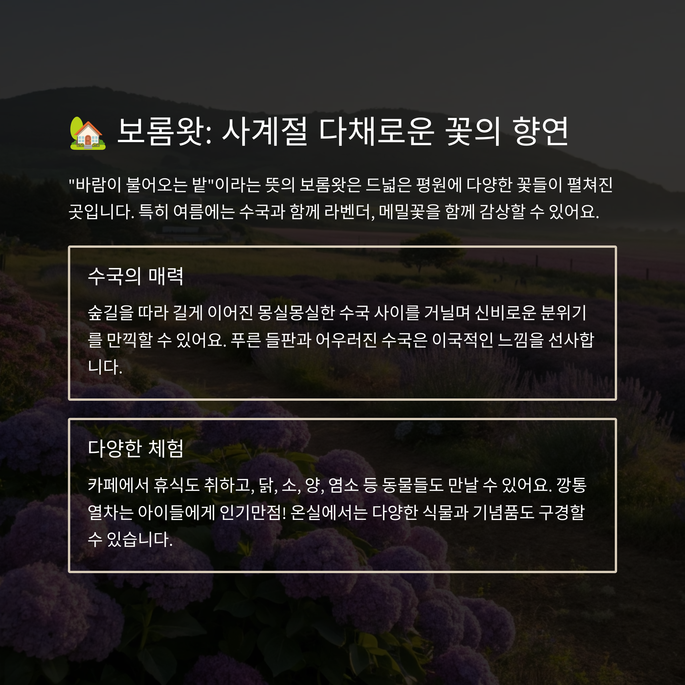 보롬왓 사계절 다채로운 꽃의 향연