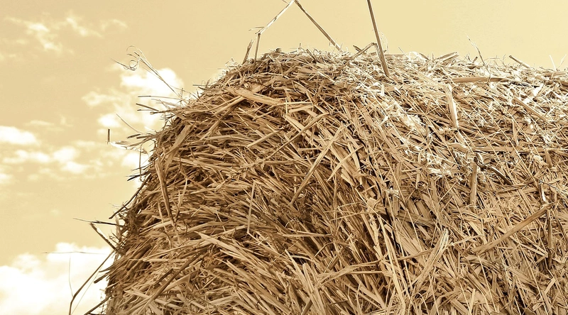 1. 건설안전관리자 자격증 종류