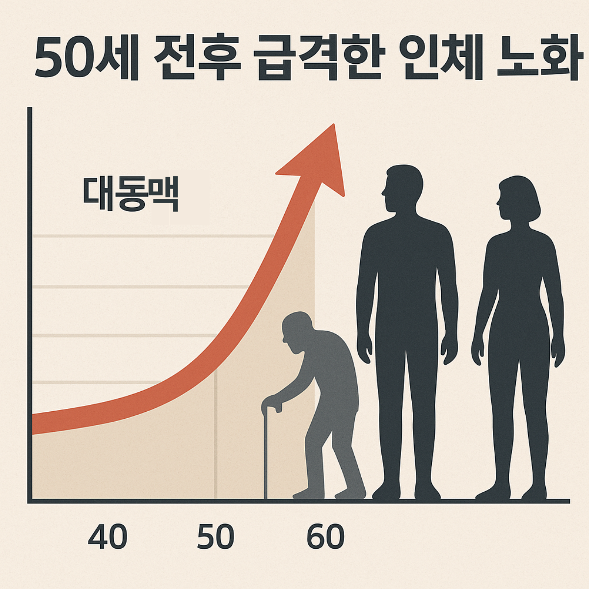 &ldquo;50세 전후 급격한 인체 노화, 대동맥 노화 그래프와 중년 남녀 실루엣&rdquo;