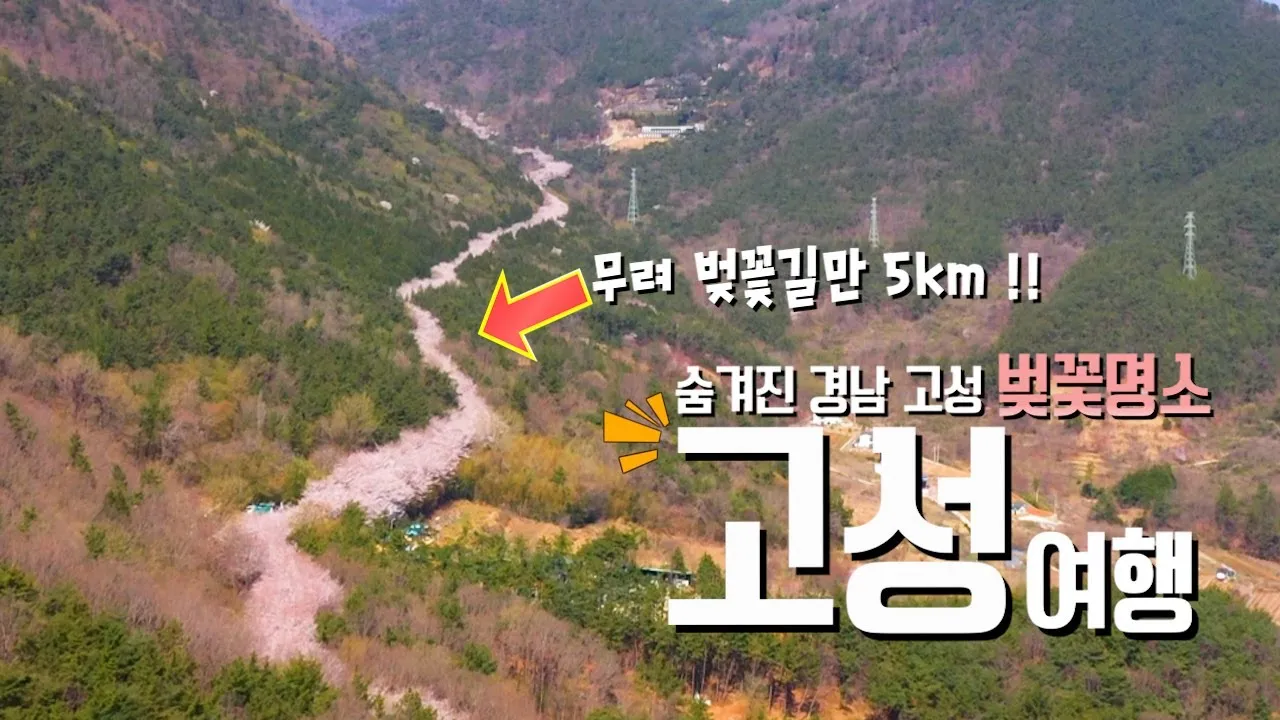 경남 고성 맛집 베스트10 현지인 숨겨진 맛집_6