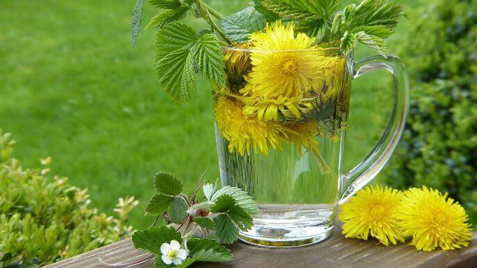 당뇨에-좋은-차-종류-및-효능2