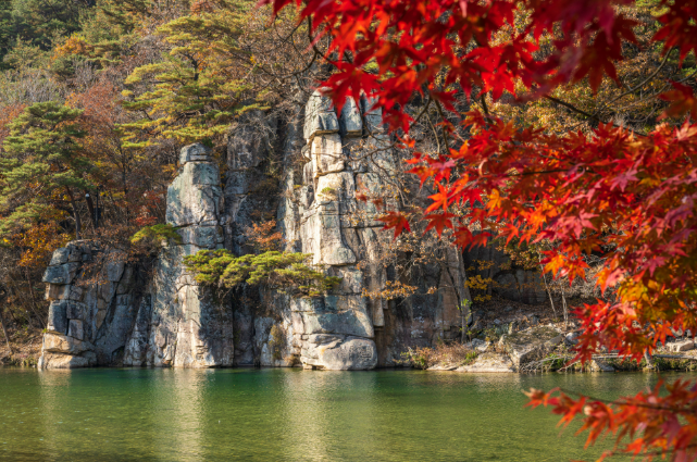 괴산 가구 형태별 월 예산표 &mdash; 실제 거주 기준으로 보는 현실적인 생활비 구조