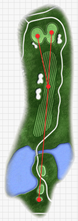 골드 그린 cc 4 Hole Tip