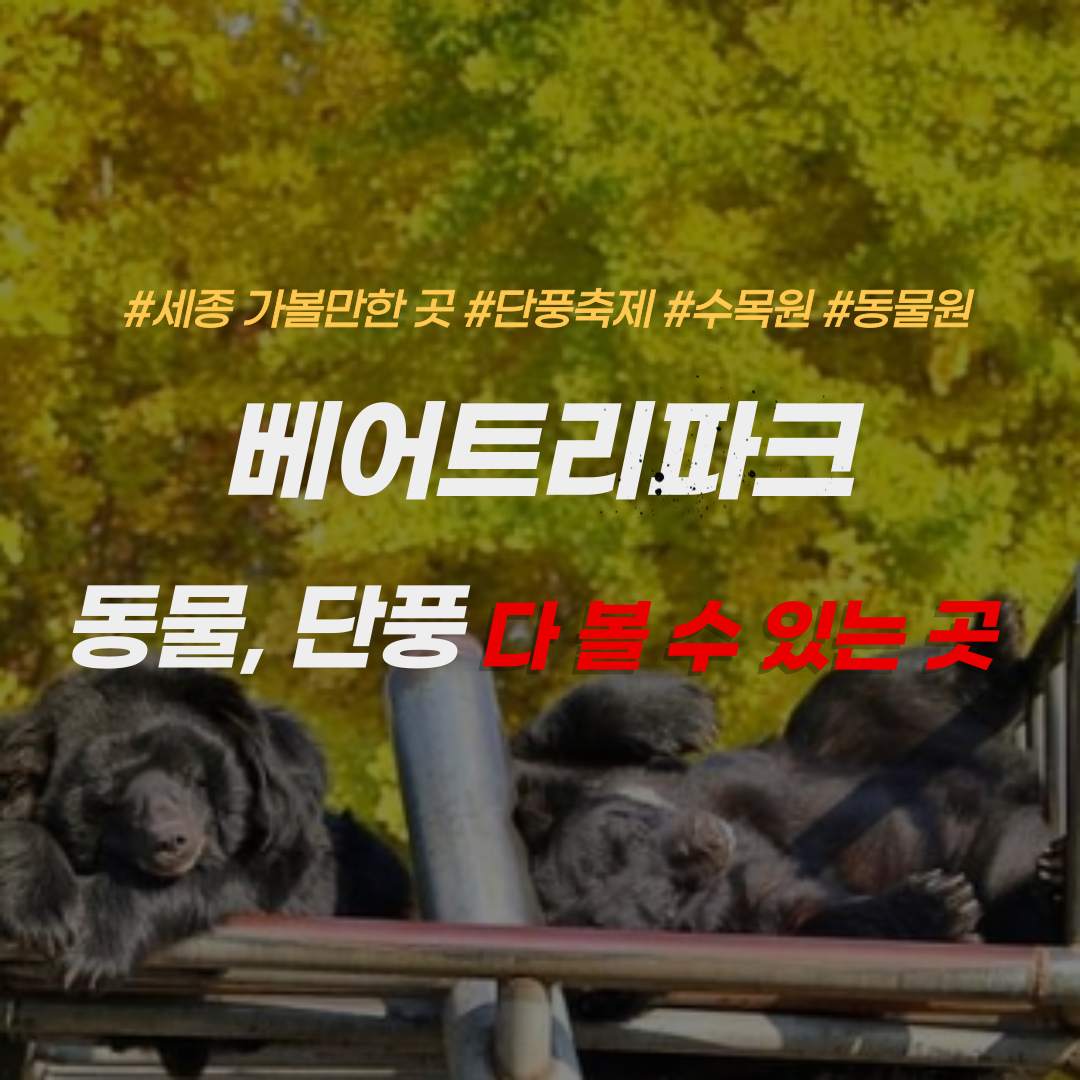 베어트리파크-입장료-할인-가을단풍축제
