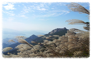 와룡산
