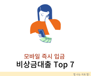 비상금대출