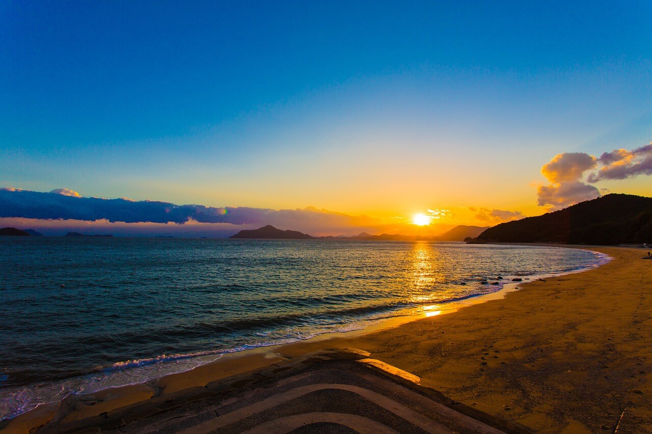 인플루언서 유형