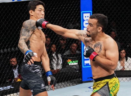 UFC Fight Night 276