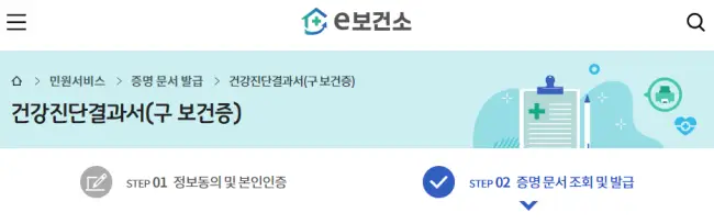 e보건소-건강진단결과서-발급가능-화면