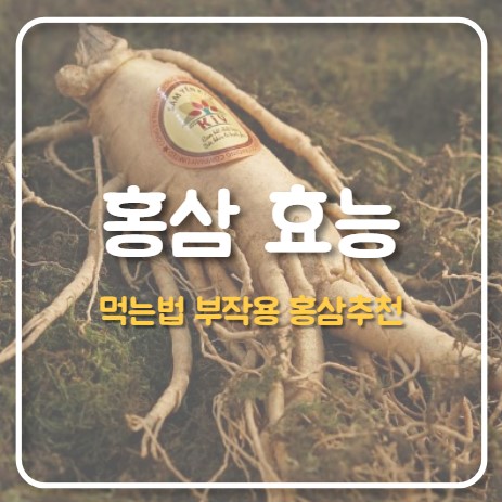 홍삼 효능