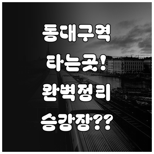 동대구역 타는 곳 위치와 노선별 승강..