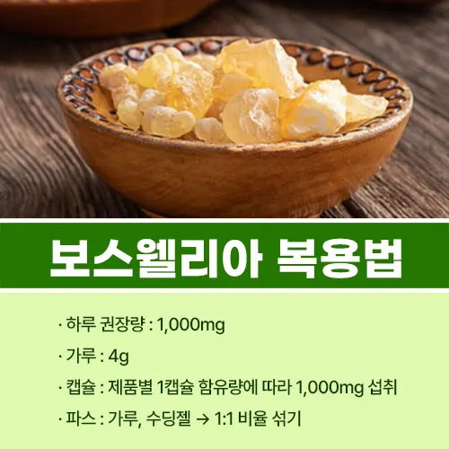 보스웰리아 복용법
