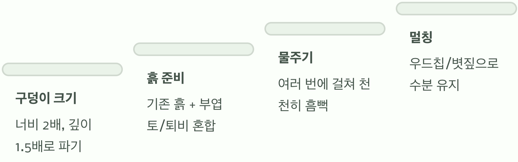 성공적인 이식을 위한 핵심 팁