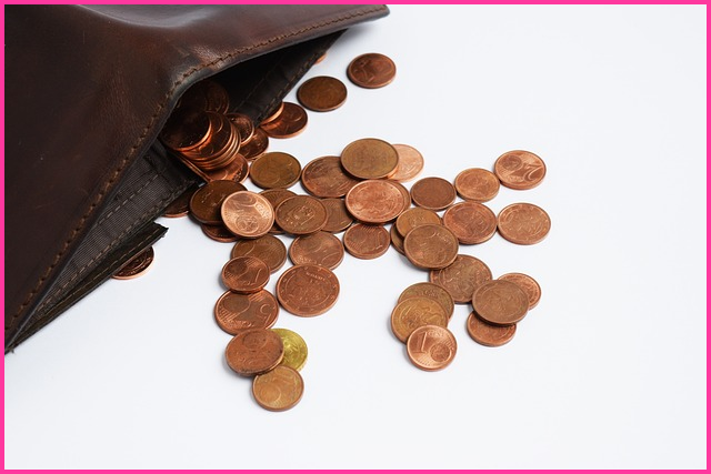 청년사업지원금