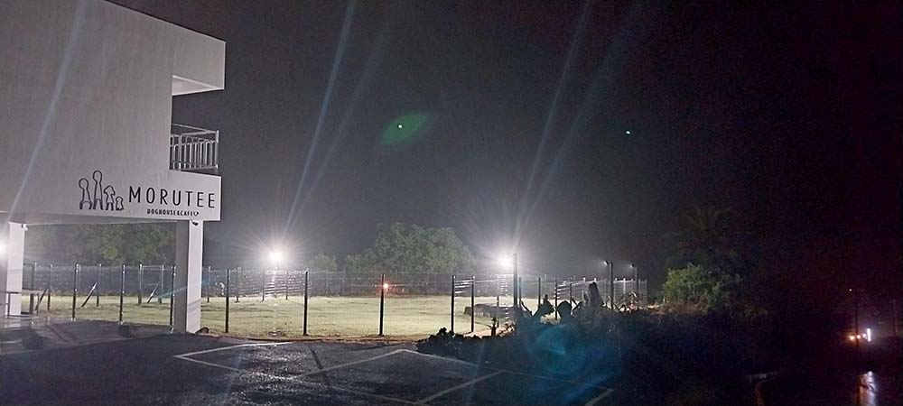 제주 서귀포 법환동 우중산책