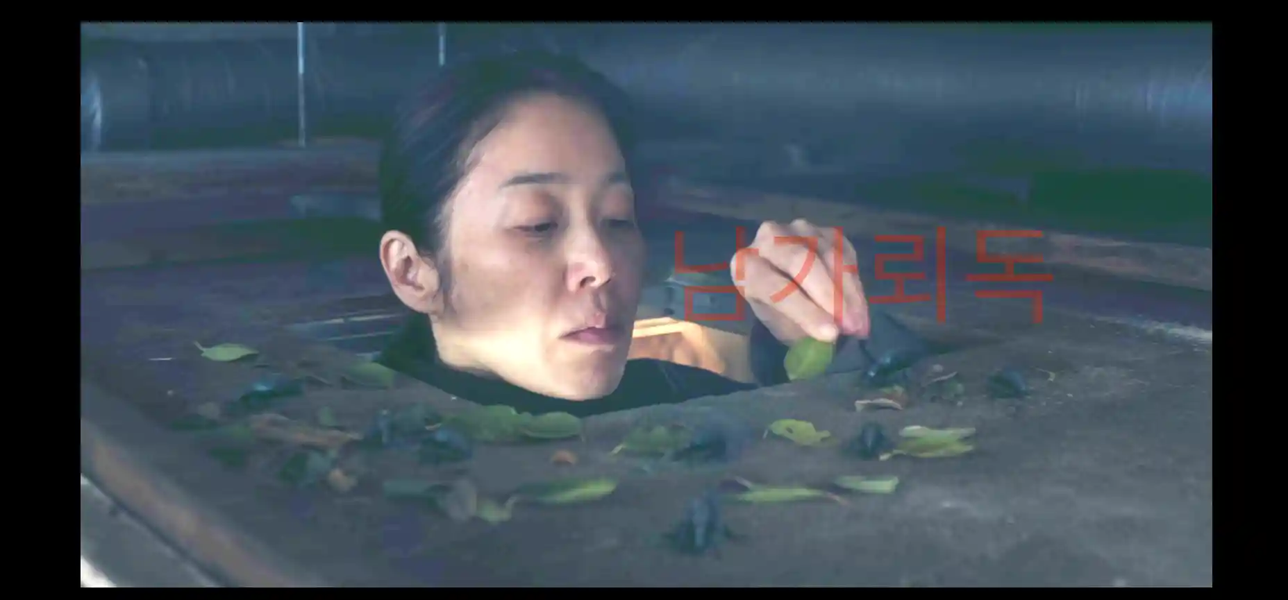 남가뢰-독
