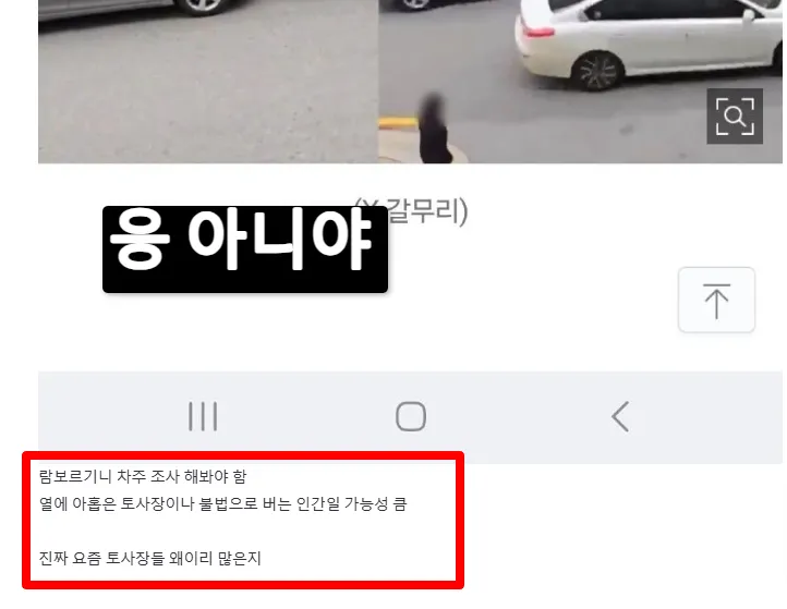 람보르기니 차주 직업 토토