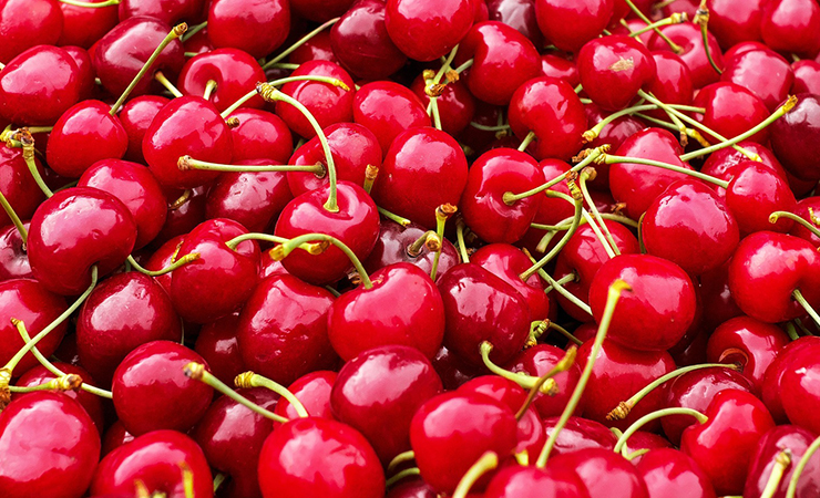 체리 불면증에 좋은 음식 불면증 극복하는 법