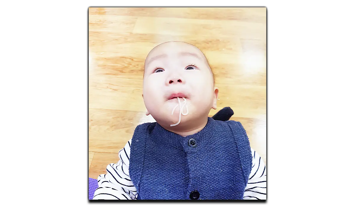 이유식-시작시기