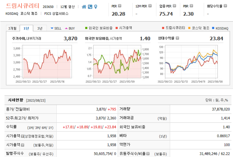드림시큐리티 기업분석
