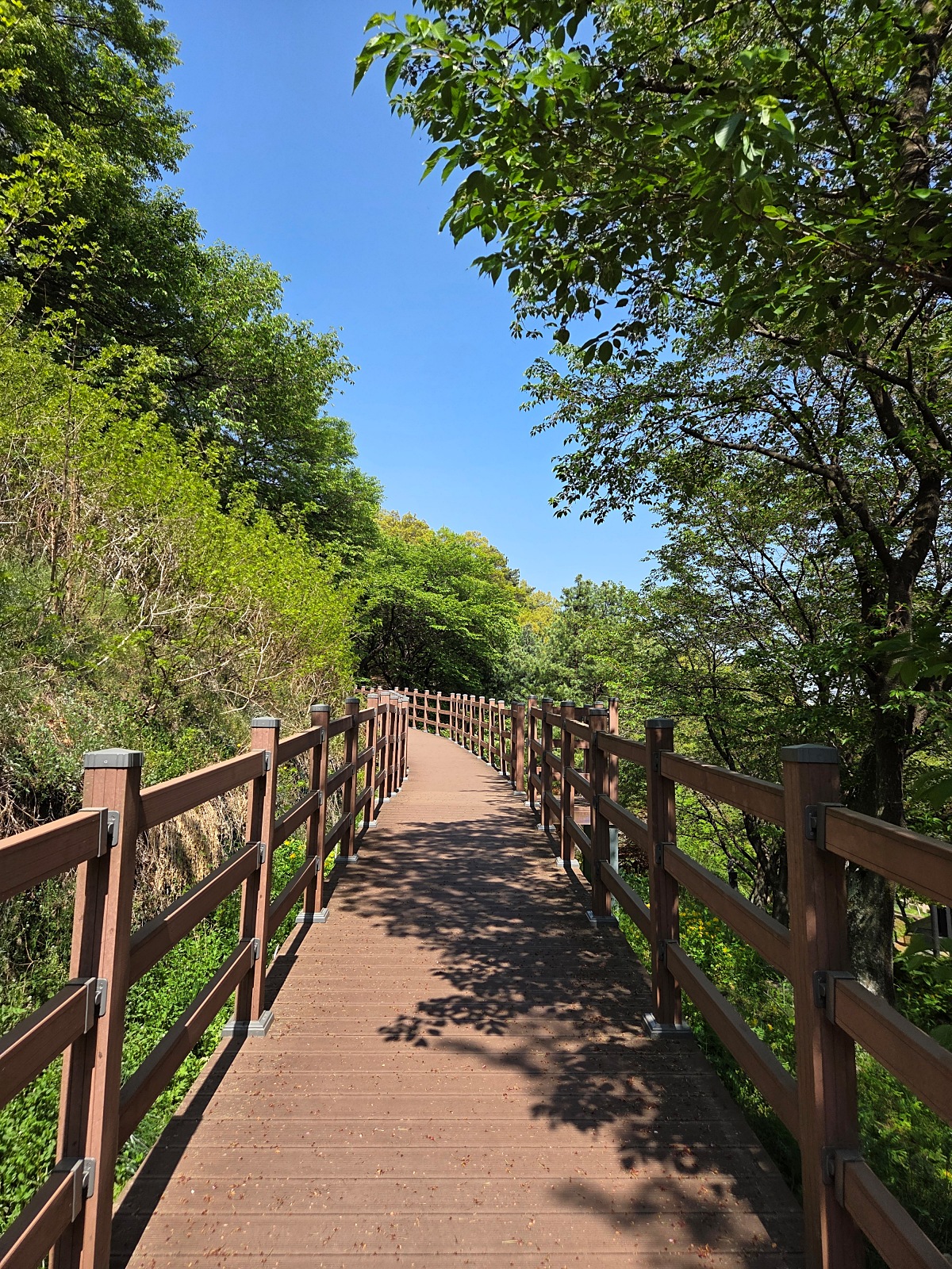 김포 가볼 만한 곳|자연과 예술이 공존하는 세계 유일의 김포국제조각공원 산책