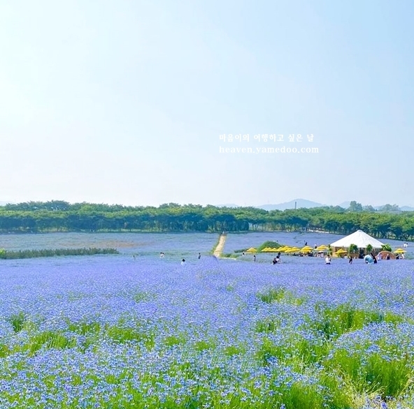 예산 가볼만한곳