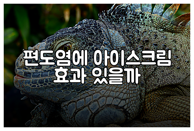 편도염에 아이스크림 효과 있을까