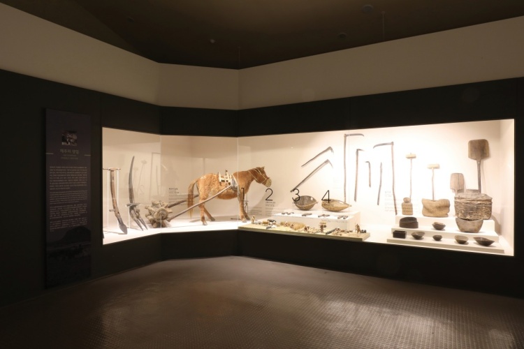 제주 앨리스 앤 트렁크 호텔 주변 제주공항 근처 가볼만한곳 BEST 10