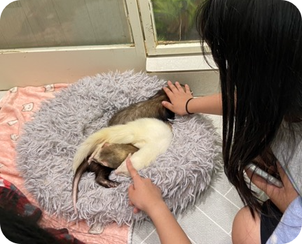 부산 실내 동물원 마리앤쥬 - 아이와 가볼만한 곳