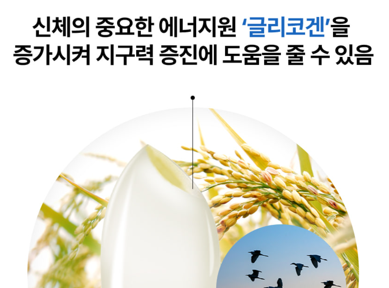 파란통 다이어트 (택연 다이어트)